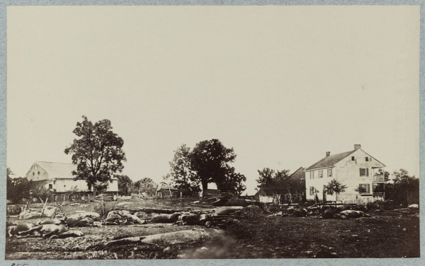 Dead horses from the 9th Massachusetts (Bigelow's) battery litter the ground by the Trostle farm, where Dan Sickles received the wound that cost him his leg (Library of Congress).